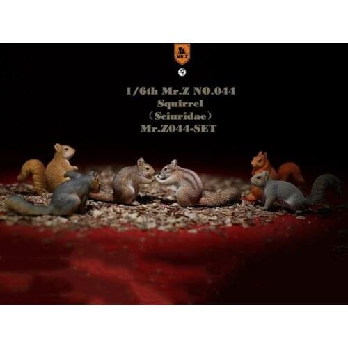 In Stock 1/6 Scale Figure Scene Accessories Mr.Z No.044 Squirdae Sciuridae Mr.Z044 Set Anime Figure Model for 12 inches Action