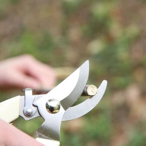 Stainless Steel Garden Scissors Grafting Tool Fruit Tree Pruning Shears Bonsai Pruners Garden Shears Gardening Secateurs Scissor