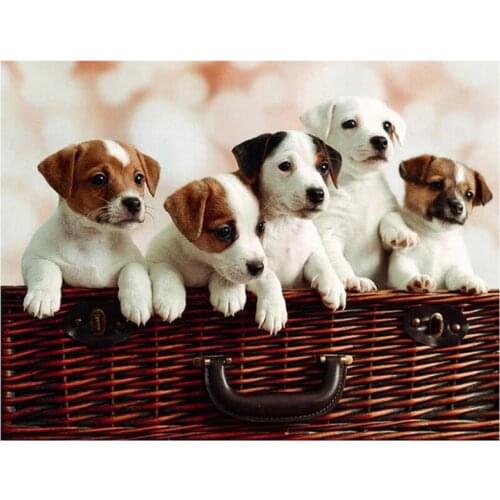 5D DIY Diamond Painting Full Square/Round Diamond Embroidery jack russel puppies Pictures Of Rhinestones Mosaic Decoration CV284