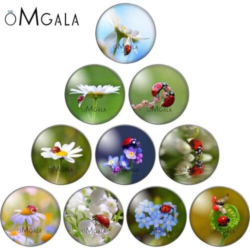 HD Beetle Chafer Scarabs Photos 10pcs Mixed 12mm/14/16/18mm/20mm/25mm Round photo glass cabochon demo flat back Making findings