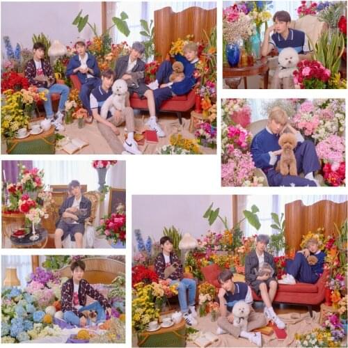 5D DIY Diamond Painting TXT Cat & Dog Posters Cross Stitch Kit Full Drill Diamond Embroidery Mosaic Art Picture Home Decor Gift