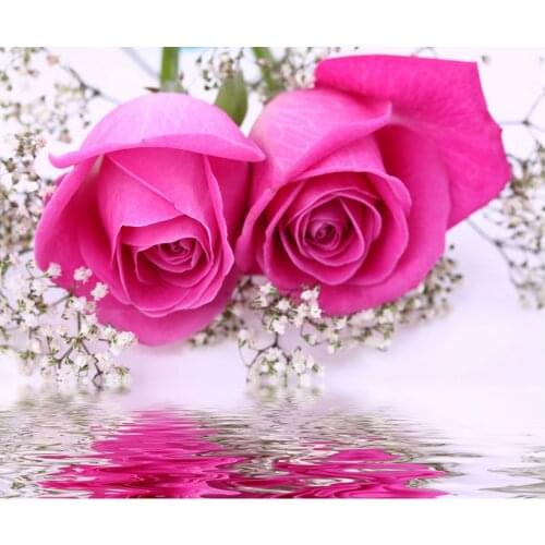 3D DIY Pink Paint Pink Diamond Couture Beautiful Flowers Embroidery Diamond Double Room Decorate Rhine Stone Mosaic Photo