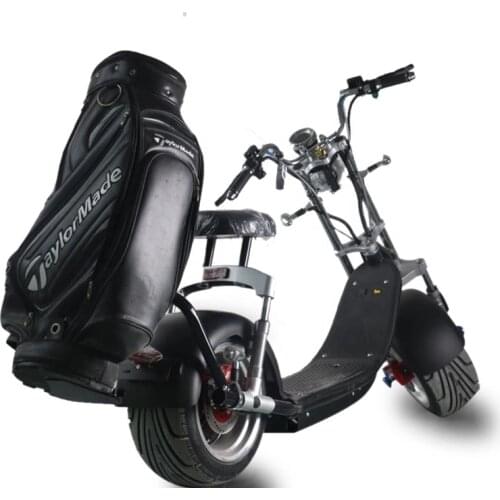 Smart Intelligent Offroad Chariot Electric Hover Board Golf Electric Motorcycle 1200w E Self Balance Scooter 60V 20ah Citycoco