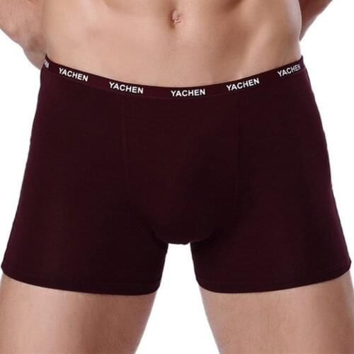 Mens Boxer Shorts homme cueca breathable calzoncillos hombre boxer sexy underwear men 5color L -3XL underpants 2pcs/lot