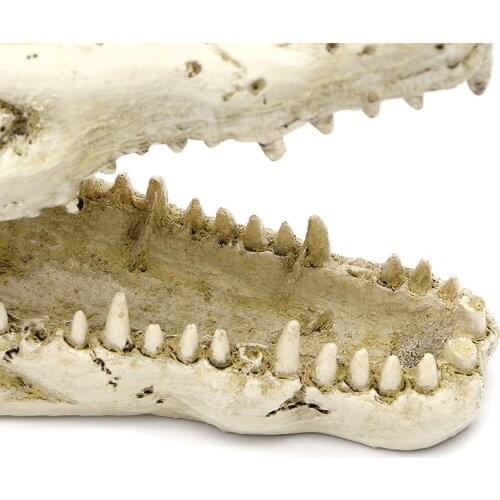 5" Crocodile Skull Artificial Decor Ornament Decoration for Aquarium Fish Tank