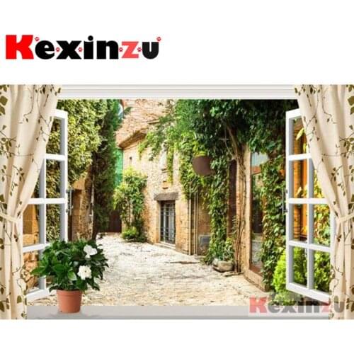 Kexinzu Full 5D DIY Square/Round Diamond Painting"Window corner"3D Embroidery Cross Stitch Mosaic diamond painting Gift X00000