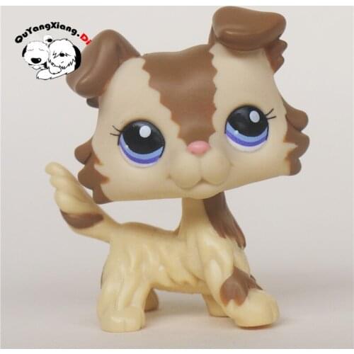 CWG002 Pet Shop Animal Brown Collie Dog Puppy Blue Eyes doll action Figure cute puppy