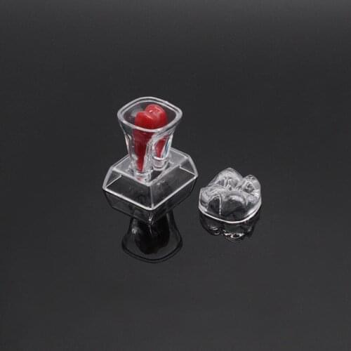 Dental Teeth Molar Model Separable Teaching Demonstration Model Transparent For Dentistry Clinic