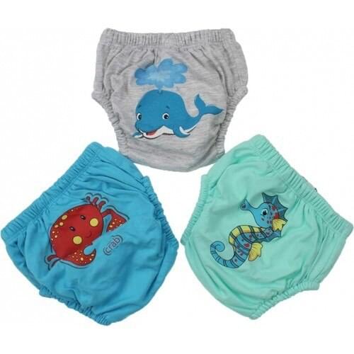 Story Baby Male Baby Cute 3'Lü Exercise Pant (Gray) Blue Balinalı