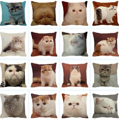 XUNYU Cute Cat Pillowcase Chubby Shorthair Cat Cushion Cover Home Car Sofa Decorations Pillowcase 45x45cm D0043