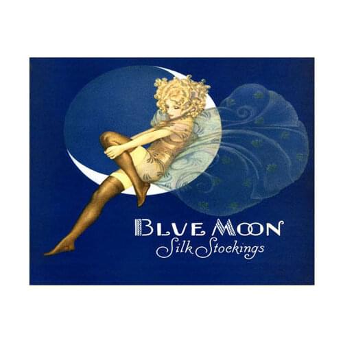 BLUE MOON Fairy Stockings Fashion Vintage Repo Wall Sticker Silk Poster Art Light Canvas Home Decoration