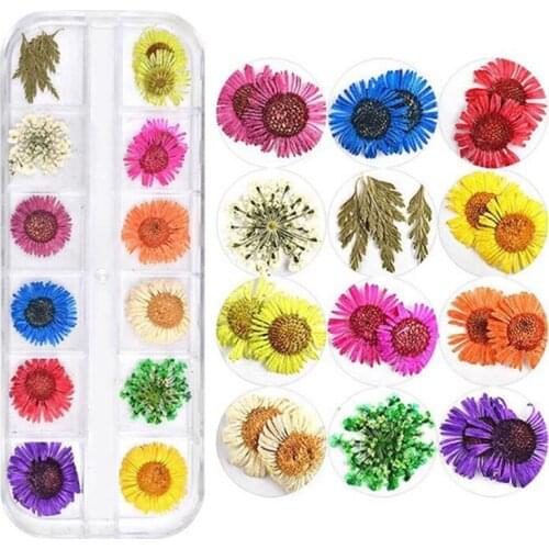 A box 12 grid set Mini natural Flowers Dried Flowers heads Making Craft DIY Fashion Accessories
