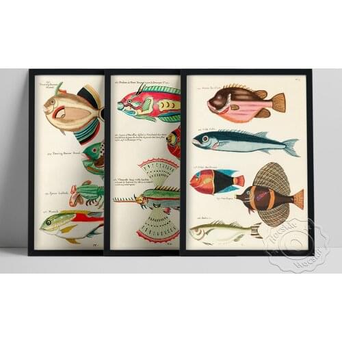 Louis Renard World Fish Prints, Vintage Fishing Wall Art, Whimsical Fish Marine Life Illustration, Water Color Sea Fisk Poster