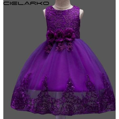 Cielarko Girls Lace Dress Flower Baby Dresses Birthday Children Party Dress Pageant Kids Wedding Clothing for Girl