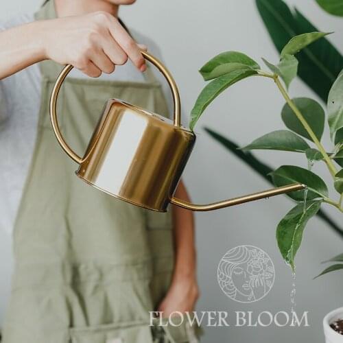 Long Mouth Succulent Watering Kettle Watering Pot 304 Stainless Steel Gardening Watering Pot Flower Growing Tools