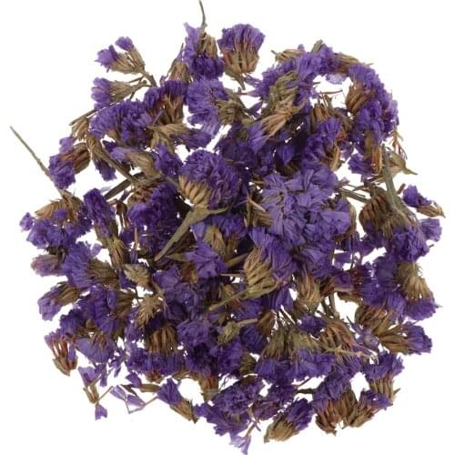 5 Bags Pressed Dried Flower Herbarium DIY Arts Crafts Scrapbooking