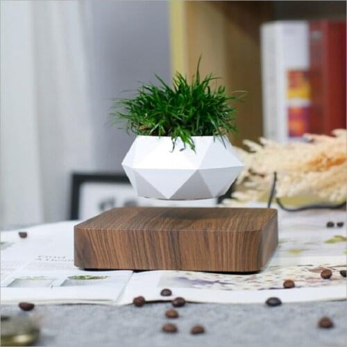 Air creative ornament floating wood grain potted plant bonsai