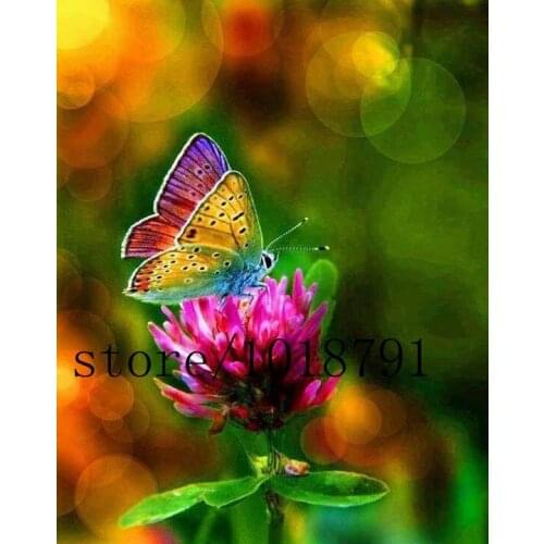 5d Diamond Mosaic Needlework Diy Diamond Cross Stitch Painting Embroidery Diamond Mosaic Home Decor Paint Flower And Butterfly
