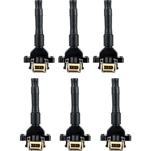 6pcs Ignition Coil Pack For-bmw 320i 325i 325is 525i M3 2.0l 2.5l 3.0l L6 12131402440 0221504410