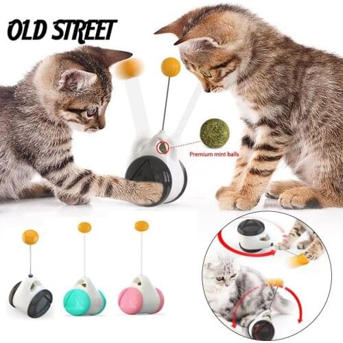 Tumbler Swing Cat Toy Interactive Kitten Balance Car Cat Hunting Toy and Funny Catnip Pet Products