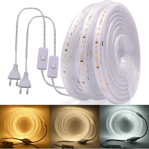 SMD2835 LED Strip Light+Switch Power Supply 220V Flexible Tape Ribbon IP67 Waterproof 120Leds String Warm Natural White 1-100m