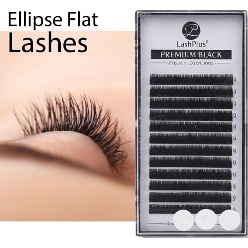 LASHPLUS Flat Ellipse Lashes with Split Tips Soft Silk Flat Eye Lashes Matte Flat Eyelash Extensions Individual Eye Lash