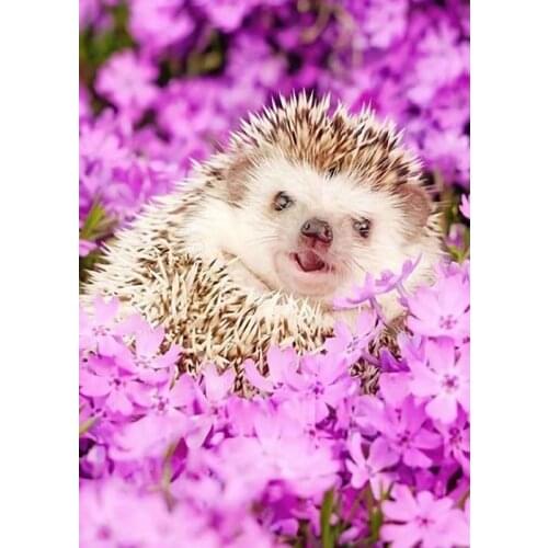 TAILOR 5D diamond painting kit set Full square paiting Cuadros broderie Cross stitch Diamand art diamant Hedgehog animal flower