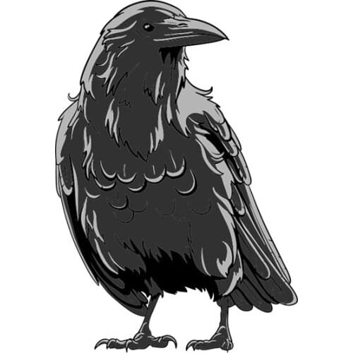 LLY-0652 Creative Crow Graphic Animal Car Sticker PVC Personalized Cartoon Decals Waterproof Sunscreen Auto Stickers Decor