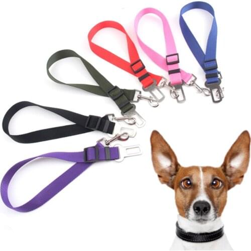 Lgterat Dog Harness