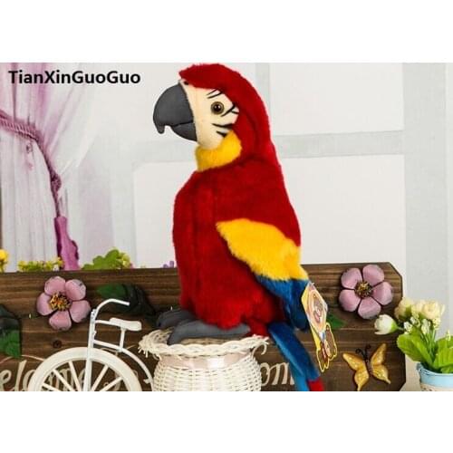 High quality goods about 26cm beautiful bird lovely colourful red parrot plush toy soft doll birthday gift b2730