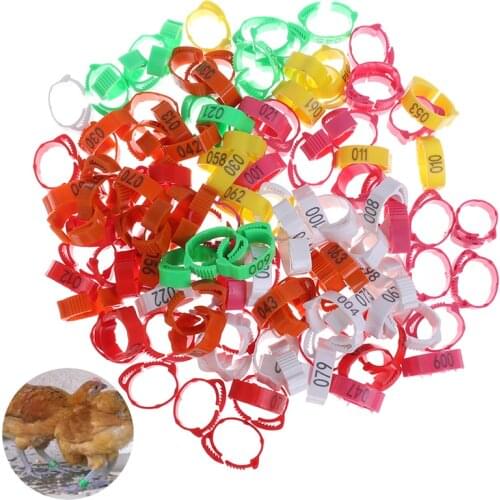 100Pcs Chicken Foot Ring Adjustable Size Poultry Leg Digital Label Buckle Ring 6 Colors Plastic Chick Duck Goose Farm Equipment