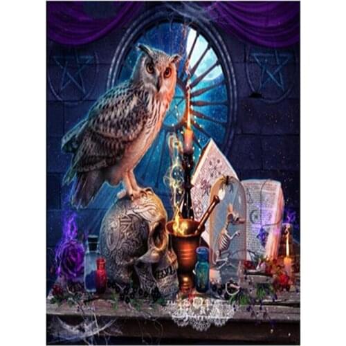 Full Square Drill 5D Embroidery Cartoon Owl Skulls Book Diamond Painting Cross Stitch Kits Room Decor Unique Gifts Item FC754