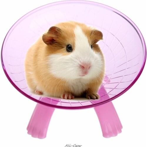 Колёса для грызунов Fadish China At AliExpress