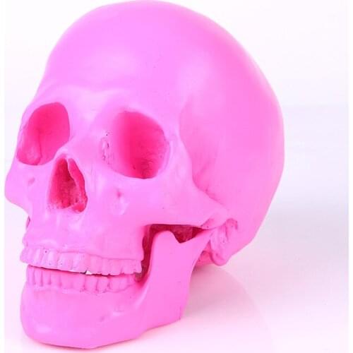Medical Resin Skulls model pink Human Skull Model Halloween Gifts