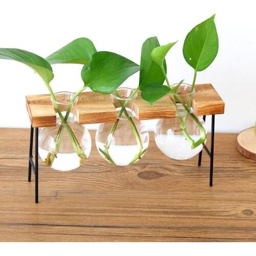 Glass Beaker Vases with Wood Stand Wooden Shelf Plant Pot Planter Supports