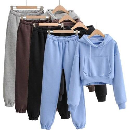 Womens Two Piece Pants Solid Casual Sets Loose Short Hoodies Elastic Waist Pants Spring Autumn Basic Sweatshirts Suits