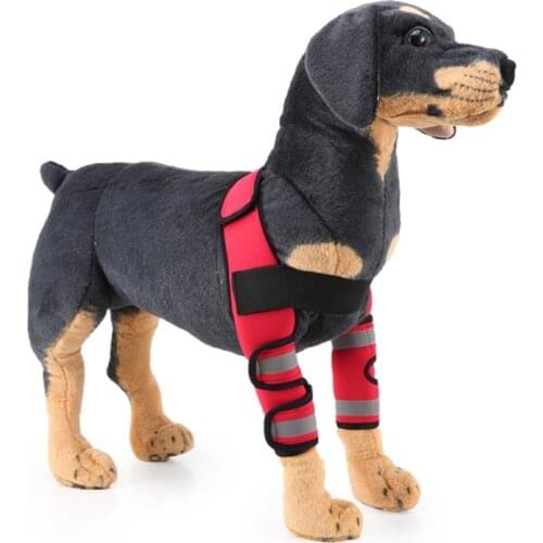 THINKTHENDO Dog Accessories