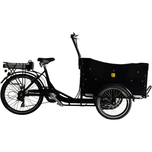 Maximum speed 25 km/h 250 w brushless wheel motor cargo bike street food cart bicycle for free shipping