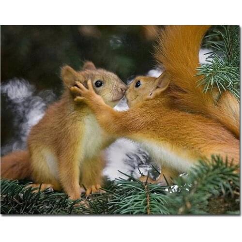 Ctue love Diamond picture Full Square Round Animal Kiss Diy Diamond Painting Squirrel Pine Tree Branches Mosaic StickersZP-1798