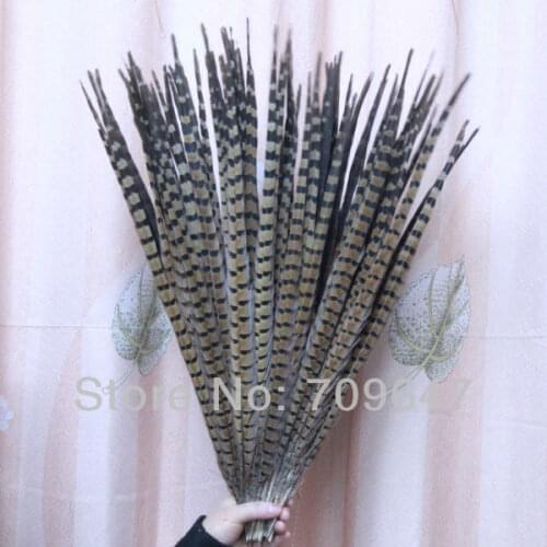 Wholesale! 50Pcs/Lot 50-55cm/20-22 Inch Natural Ringneck Pheasant Tail Feathers,Wedding Decoration,plumas para manualidades