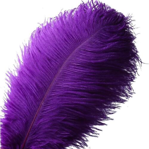 Wholesale High Quality Purple ostrich feathers 15-70cm 10-200pcs/lot DIY Party/wedding Decoration Plumes and feathers for crafts