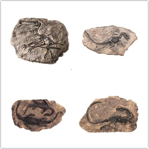 3D Resin Craft Hanging Decoration Ornament Board Silicone Clay Molds Concrete Cement Dinosaur Fossil Mould