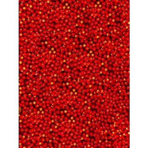 Red Fruits Photography Backdrops Photo Props Studio Background 5x7ft