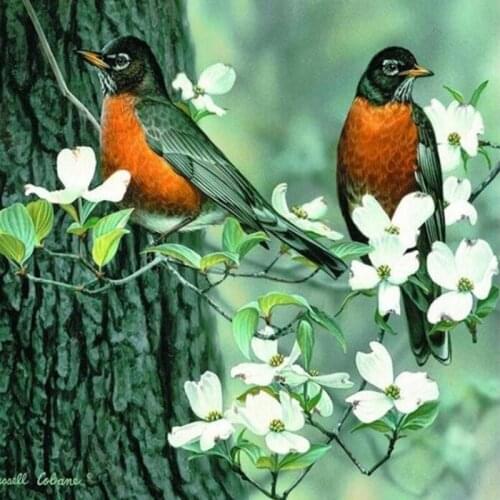 5D Diamond Embroidery Anmial bird Cross Stitch DIY Diamond Painting Fruits Diamond Mosaic rhinestones Home Decor love gift