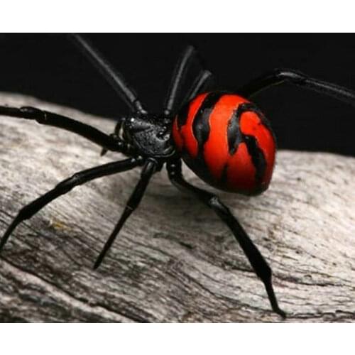 Diamond painting spider full square/round diamond art landscape 5d handmade artwork