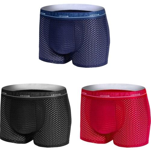 Mesh Man Underwear Boxer Ice Silk Mens Panties Brand Boxershorts Men Sexy High Quality Men Underpants Male Underwear 3PCS