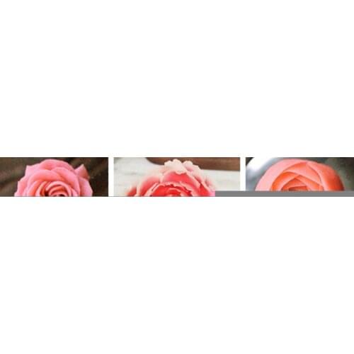 3pcs Rose Pastry Nozzles Steel Nozzle Set Tips Icing Decorating Sets Cupcake Piping Cake DIY Tools E8I3