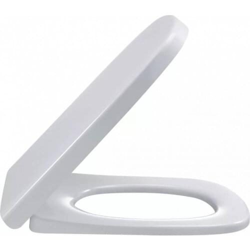 Jacob Delafon Toilet Seats