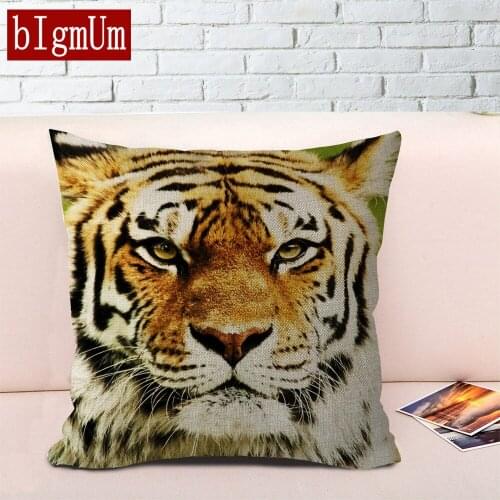 bIgmUm Decorative Pillowcases