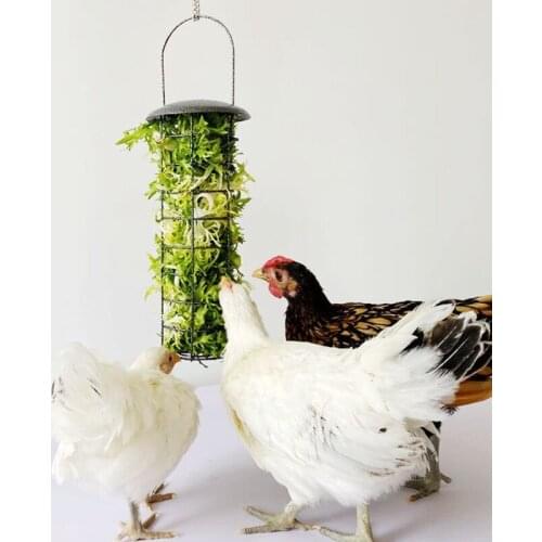 Chicken Feeder Basket Vegetable Fruit Veggie Hanging Coop Pigeon Chick Rooster Hen Fun Foraging Metal Treat Box Feeding Tool